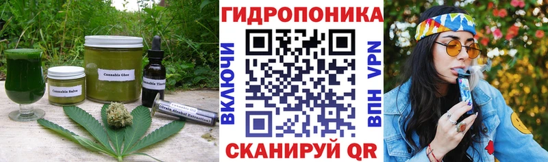 Cannafood конопля  Купить где  Приволжск 